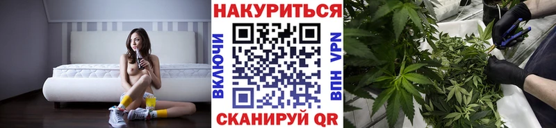 Конопля сатива  Купить  Полтавская 